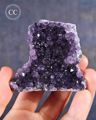 Amethyst Cluster #9