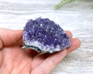 Amethyst Cluster #4