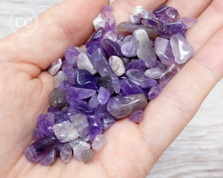 Amethyst Crystal Chips 50g in hand
