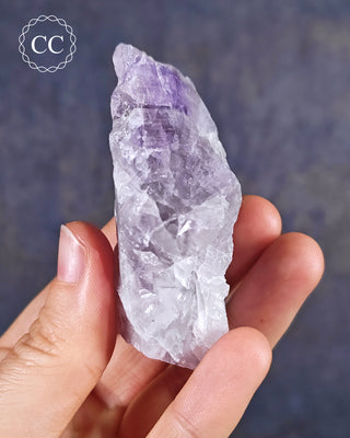 Amethyst with Prasiolite - Thunder Bay #2