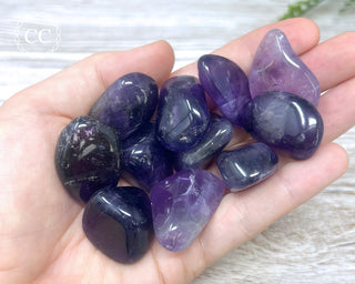 Amethyst Tumbled Crystal
