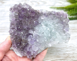 Amethyst Cluster #1