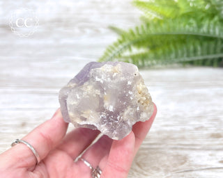 Amethyst Crystal #8