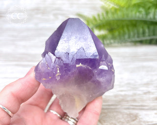 Amethyst Crystal #10