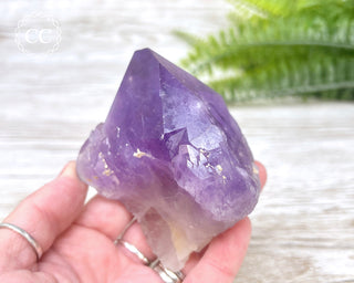 Amethyst Crystal #10