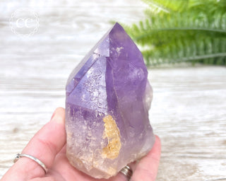 Amethyst Crystal #2