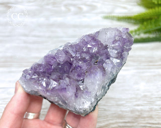 Amethyst Cluster #2