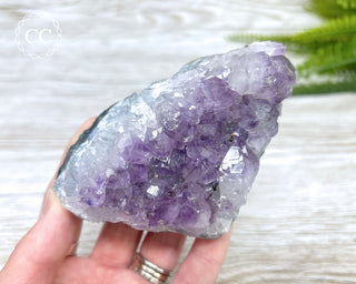 Amethyst Cluster #2