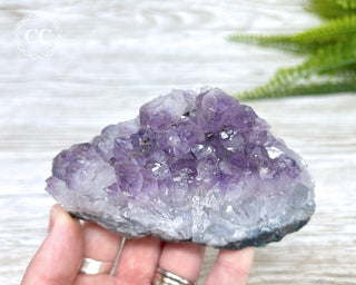 Amethyst Cluster #2