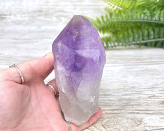 Amethyst Crystal #3