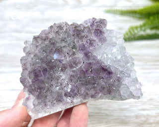 Amethyst Cluster #3