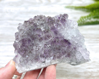 Amethyst Cluster #3