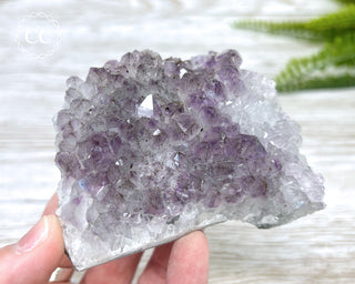 Amethyst Cluster #3