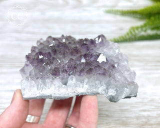 Amethyst Cluster #3