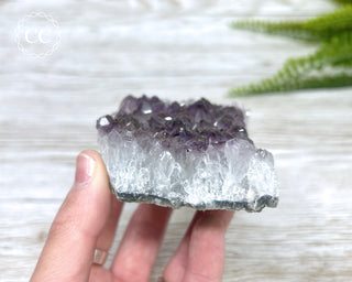 Amethyst Cluster #3