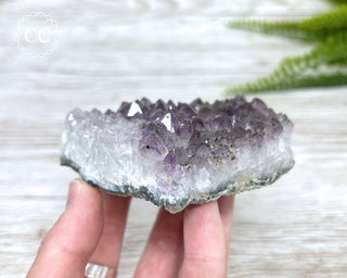 Amethyst Cluster #3