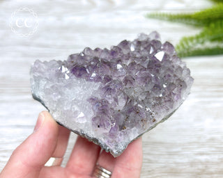 Amethyst Cluster #3