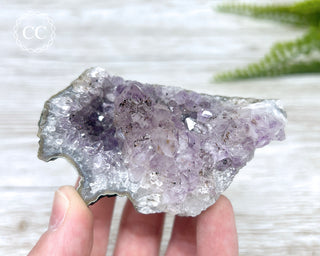 Amethyst Cluster #4