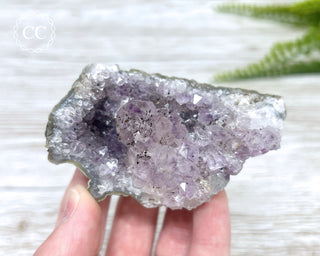 Amethyst Cluster #4