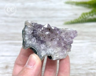 Amethyst Cluster #4