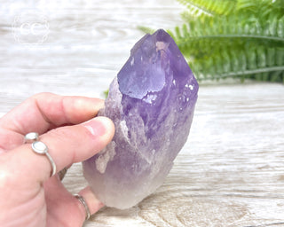Amethyst Crystal #4