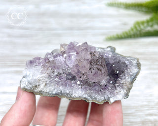 Amethyst Cluster #4