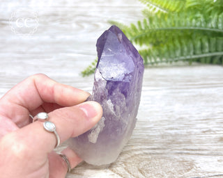 Amethyst Crystal #4