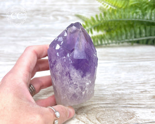 Amethyst Crystal #4
