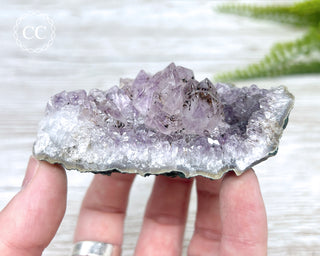 Amethyst Cluster #4