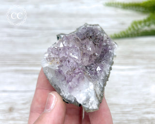 Amethyst Cluster #4