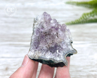 Amethyst Cluster #4