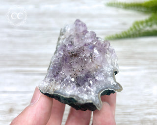 Amethyst Cluster #4