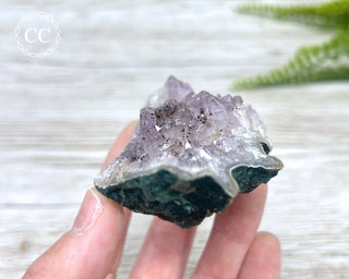 Amethyst Cluster #4