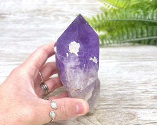 Amethyst Crystal #1