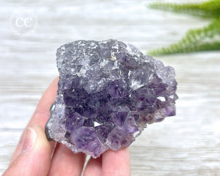 Amethyst Cluster #5