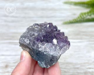 Amethyst Cluster #5