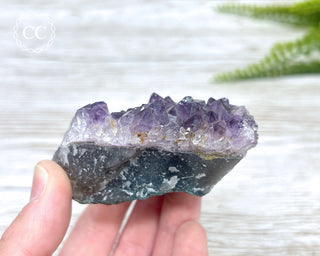 Amethyst Cluster #5