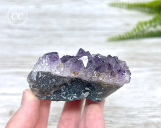 Amethyst Cluster #5