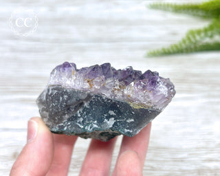 Amethyst Cluster #5