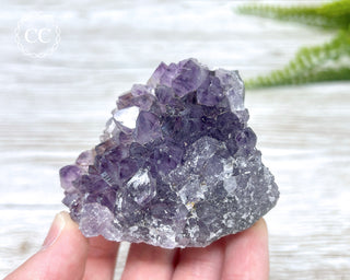 Amethyst Cluster #5