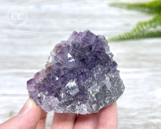 Amethyst Cluster #5