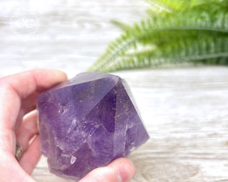 Amethyst Crystal #5