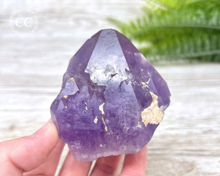 Amethyst Crystal #6