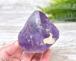 Amethyst Crystal #6