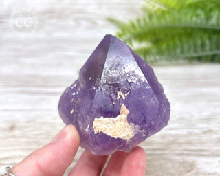 Amethyst Crystal #6
