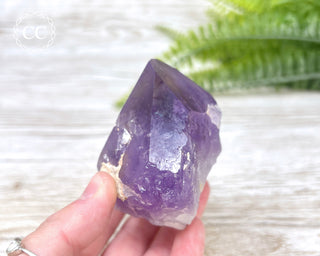 Amethyst Crystal #6