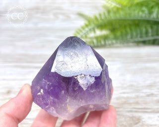 Amethyst Crystal #6