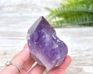 Amethyst Crystal #6