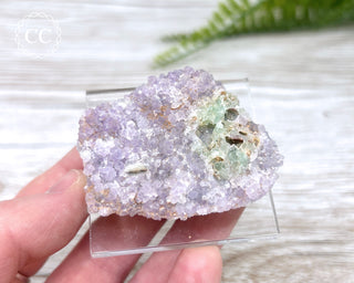 Amethyst on Fluorite Specimen #3