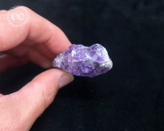 Amethyst with Prasiolite - Thunder Bay #4